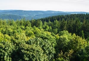 Distrito de Waldeck-Frankenberg