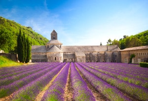 sur de francia